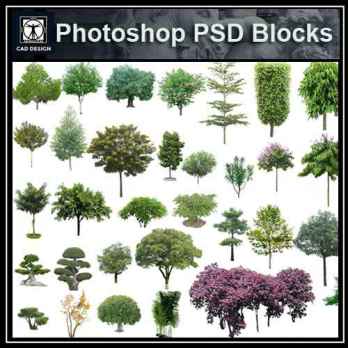 PSD Landscape Tree Blocks 3