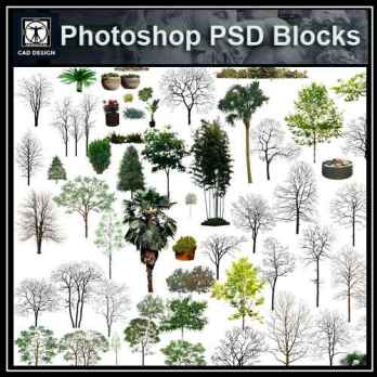 PSD Landscape Tree Blocks 9