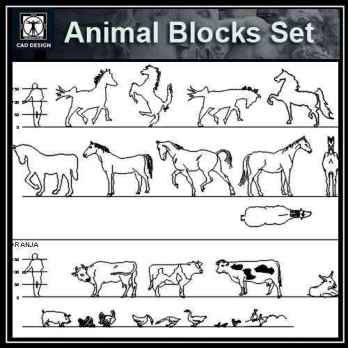 Animal Blocks 1