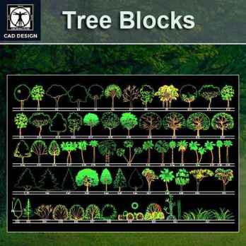Tree Blocks-tree elevation 3