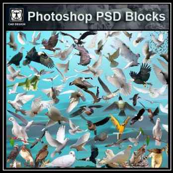 PSD Landscape Blocks-Birds