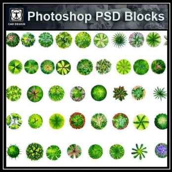 ★【 Tree PSD Landscape Blocks 】Tree 2D Plan PSD Landscape Blocks V1
