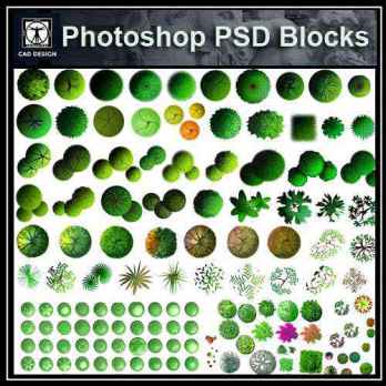 ★【 Tree PSD Landscape Blocks 】Tree 2D Plan PSD Landscape Blocks V5