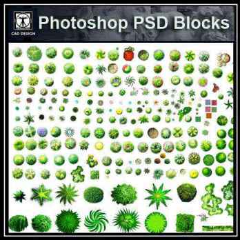 ★【 Tree PSD Landscape Blocks 】Tree 2D Plan PSD Landscape Blocks V2