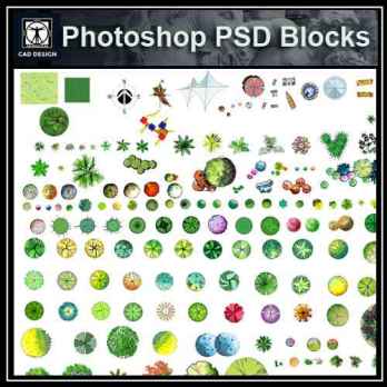 ★【 Tree PSD Landscape Blocks 】Tree 2D Plan PSD Landscape Blocks V3