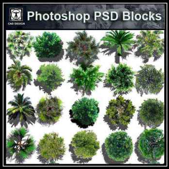 ★【 Tree PSD Landscape Blocks 】Tree 2D Plan PSD Landscape Blocks V4