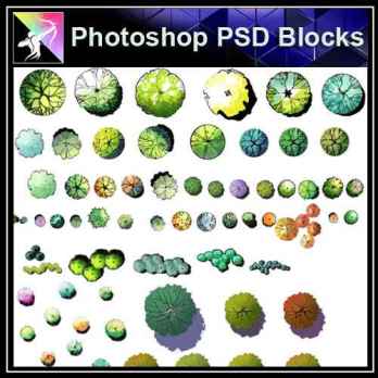 ★【PSD Landscape layout design Blocks 】 2D Tree PSD Landscape Blocks 2
