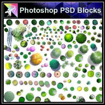 ★【PSD Landscape layout design Blocks 】 2D Tree PSD Landscape Blocks 3