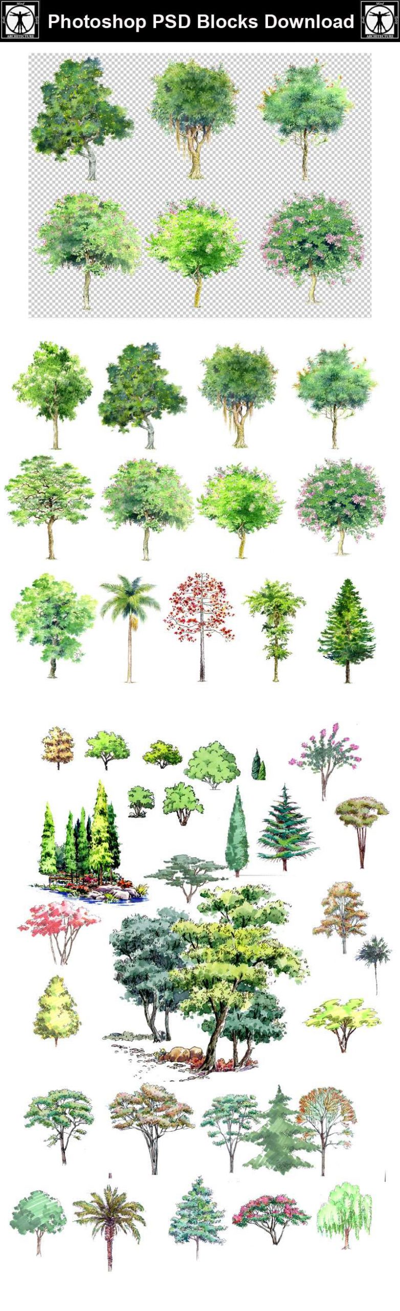★【 Hand painted Tree PSD Landscape Blocks 】Tree PSD Landscape Blocks V1 - Image 2
