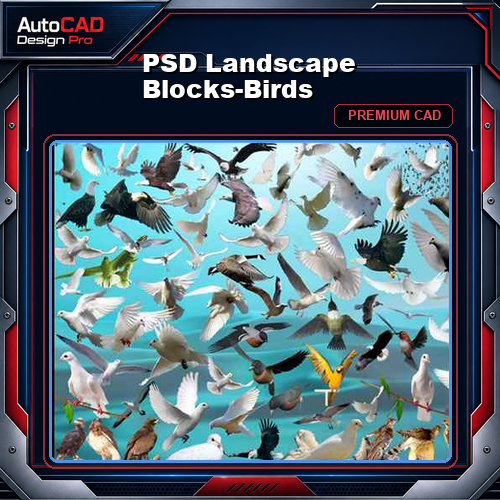 PSD Landscape Blocks-Birds